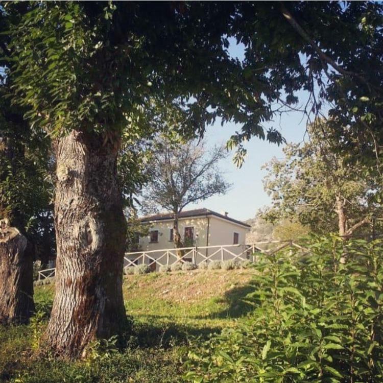 Agriturismo Acquafredda Vila Mormanno Exterior foto