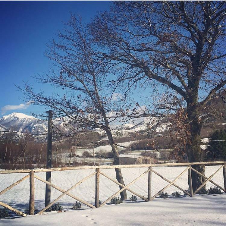 Agriturismo Acquafredda Vila Mormanno Exterior foto